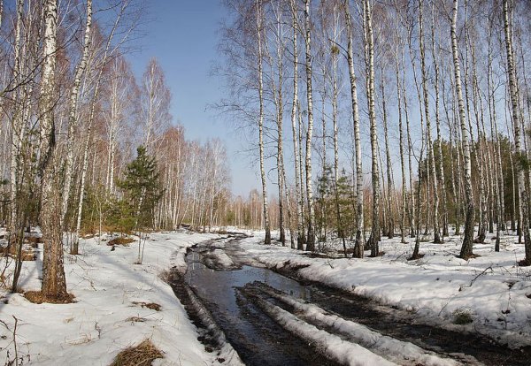 Пробуждение весны