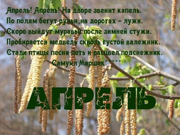 Здравствуй апрель