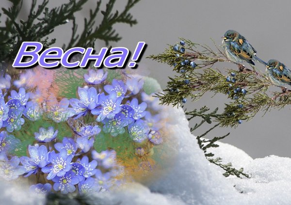 Открытки с приходом весны