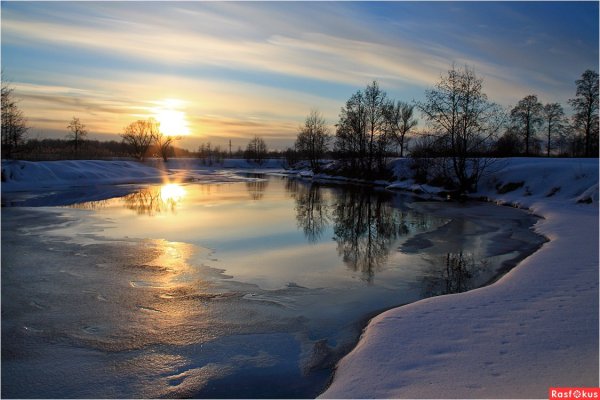 Подснежники снег солнце