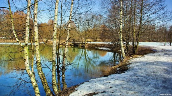 Прохор Весновей, Харлампий