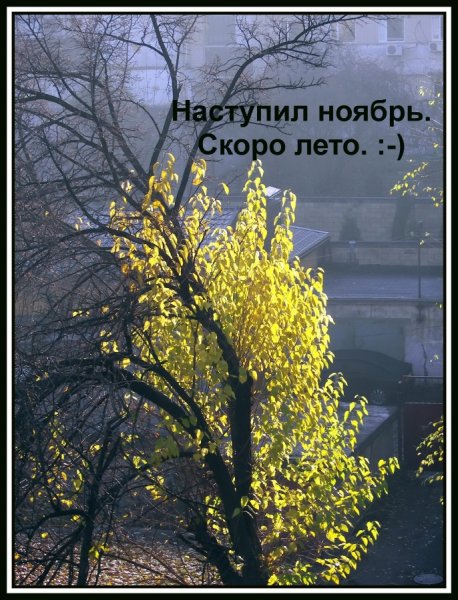Весна пришла приколы