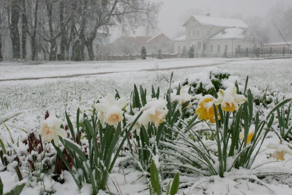 Суровая Весна картинки