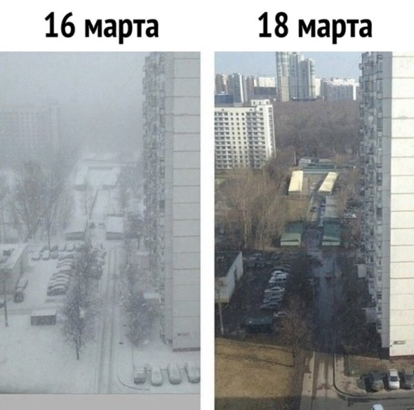 Мемы про российскую весну