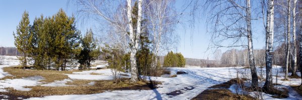 Ранняя Весна панорама
