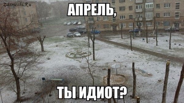 Снег в апреле приколы