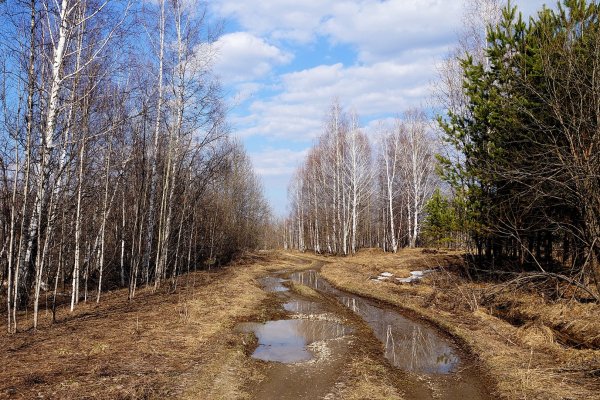 Весенняя распутица