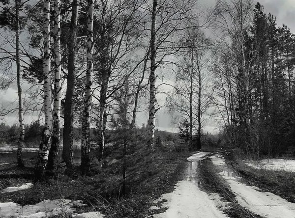 Весенний город черно белое