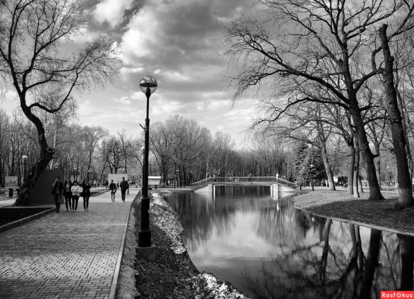 Весна черно белая