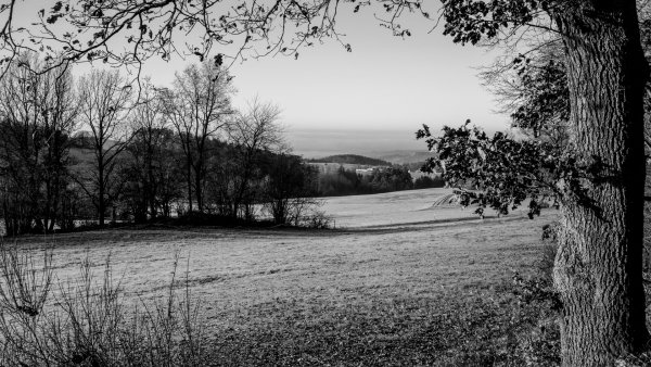 Пейзаж в графике