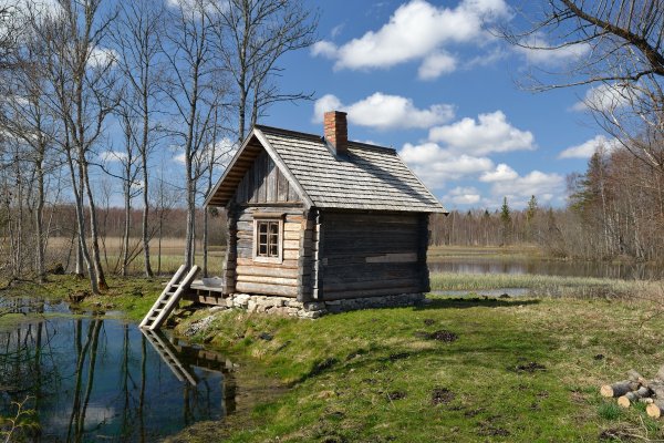 Веник для бани