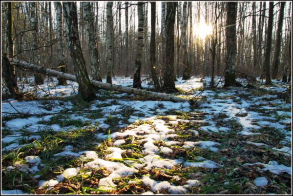Весна холодно