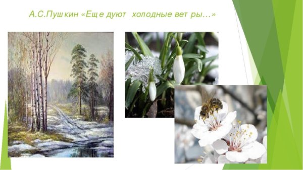 Ещё дуют холодные ветры Пушкин