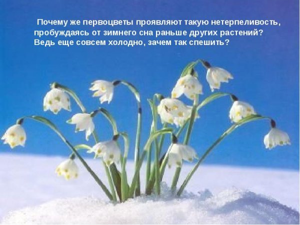 Открытки на тему холодная Весна