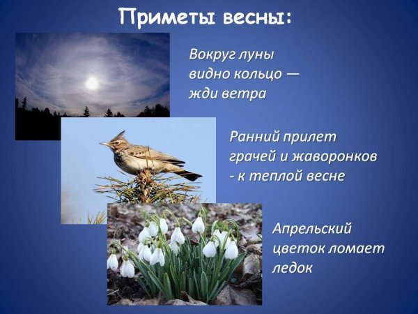 Ранний прилет грачей и Жаворонков — к теплой весне.