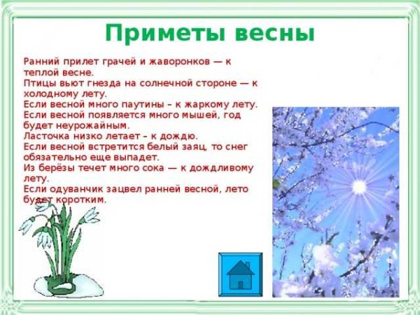 Привет, Весна!