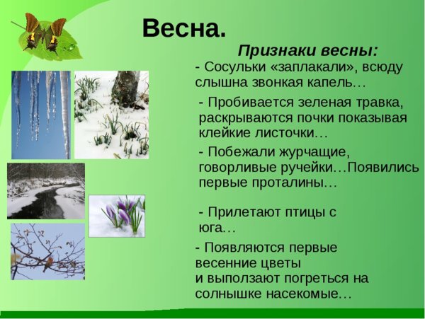 Презентация на тему Весна
