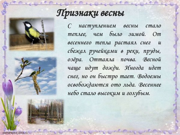 Приметы весны для дошкольников
