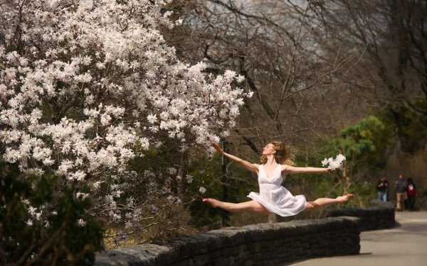 Абстрактные картинки