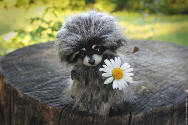 Весенний Енотик