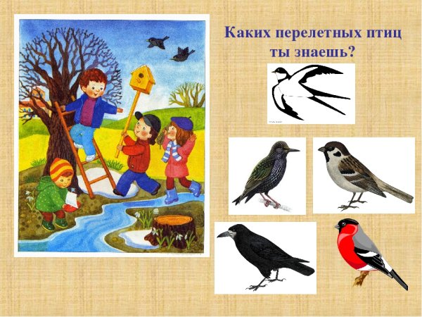 Птицы весной для дошкольников