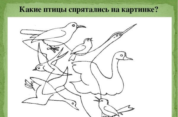 Серия сюжетных картинок домашние птицы