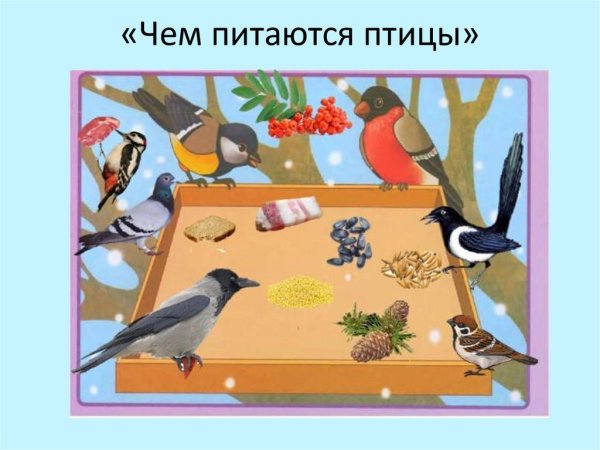 Сюжетная картина перелетные птицы