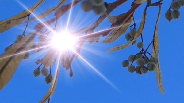 Земля и солнце в космосе