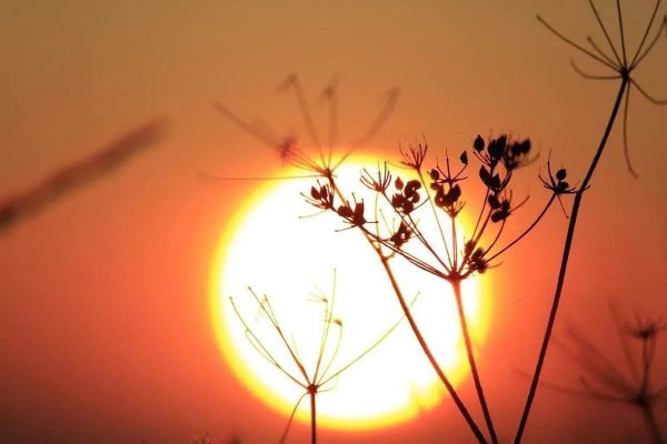 Весеннее равноденствие и осеннее равноденствие