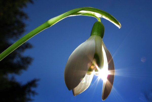 День весеннего равноденствия