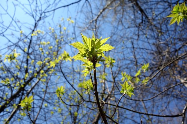 Движение земли вокруг солнца 5 класс география