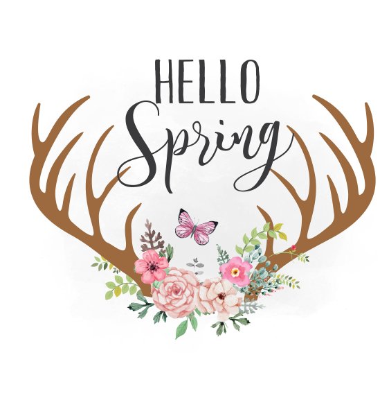 Hello Spring рисунок