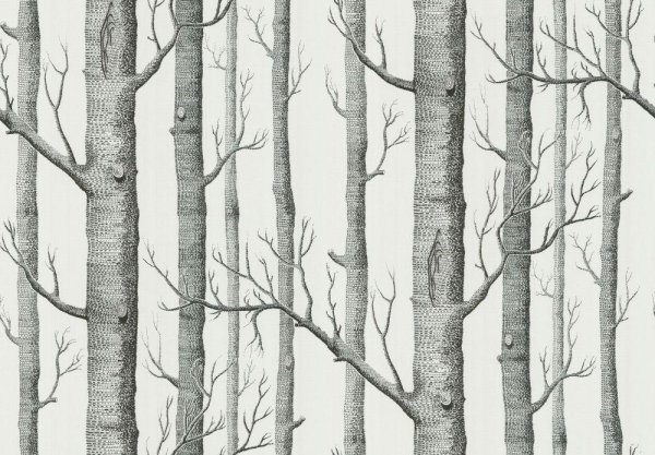 Английские обои Cole & son, коллекция New Contemporary 2, артикул 69/12147