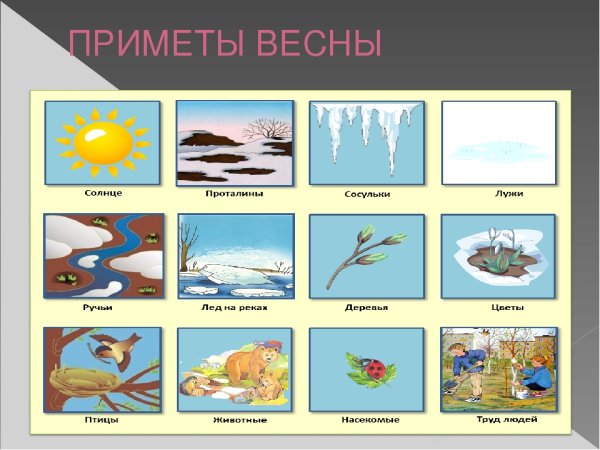 Признаки весны для дошкольников