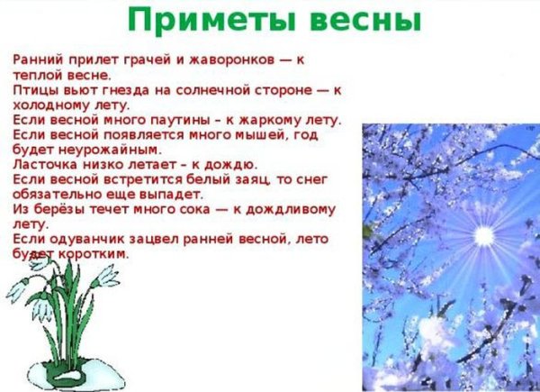 Признаки зимы, весны для детей 3 лет