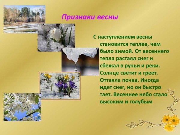 Приметы времен года для дошкольников