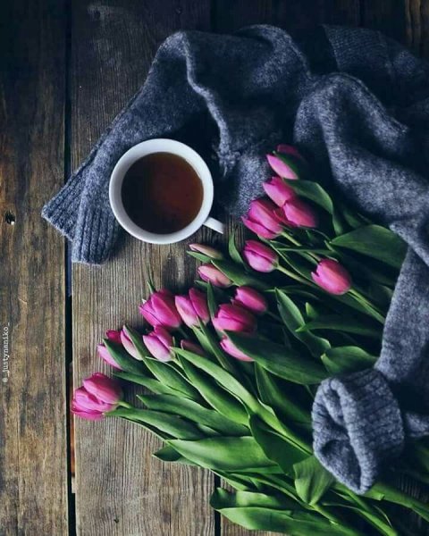Тюльпаны и кофе стильные