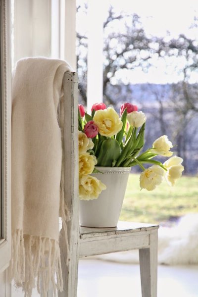 Уютные весенние цветы