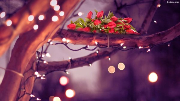 Зимнее настроение