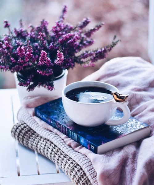 Интересные пожелания с добрым утром