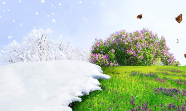 Картина природа