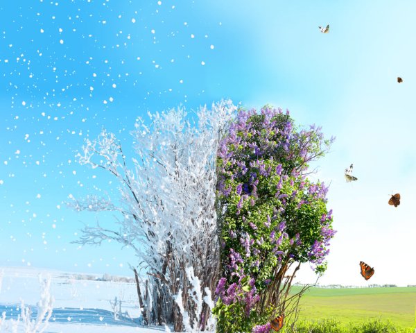 Фон зима лето