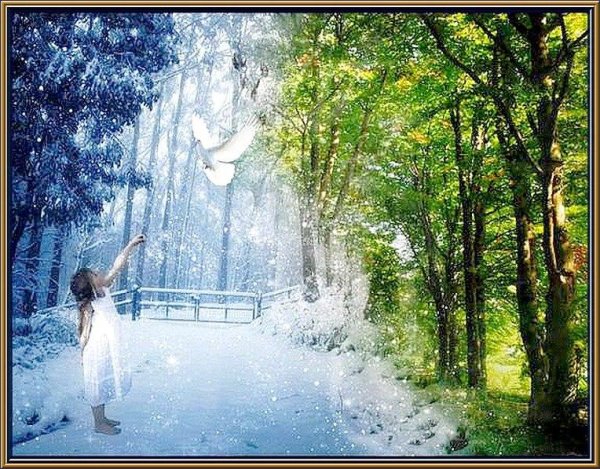 Из зимы в лето