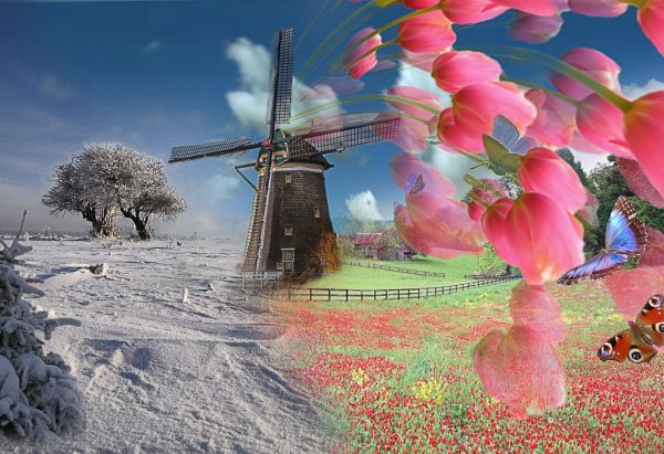 Зимнее лето