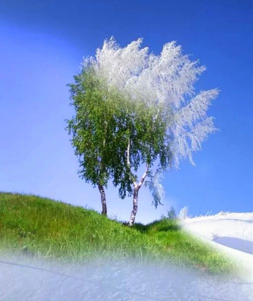 Весенние ручьи