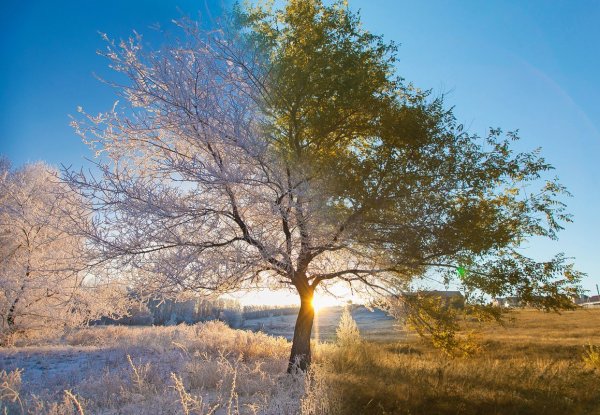 Пейзажи из мультфильмов