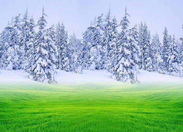 Конец зимы начало весны