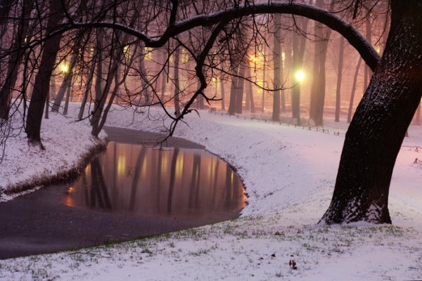 Прогулка в Снежном парке