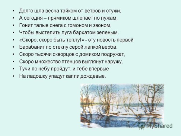 Апрель долго шла Весна тайком