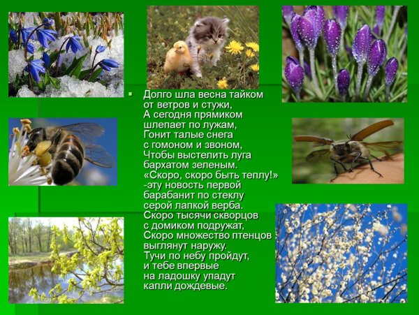 Стихотворение Якова акима апрель